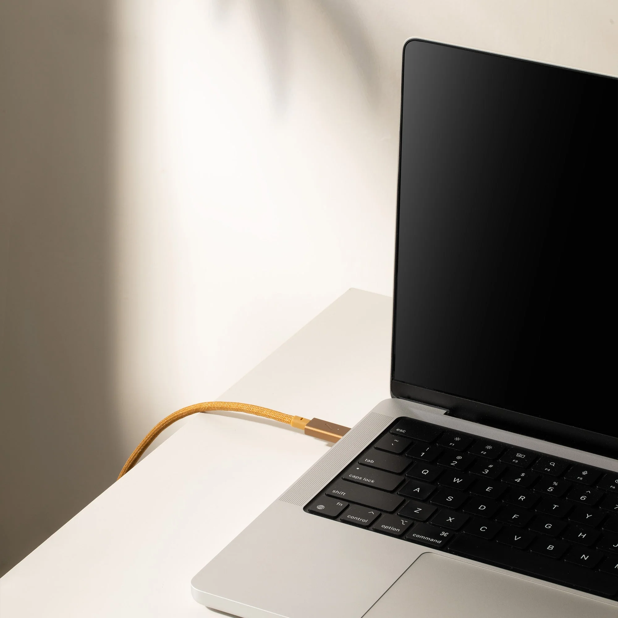 Belt Cable Pro 240W (USB-C to USB-C) - Image 7